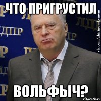 что пригрустил Вольфыч?