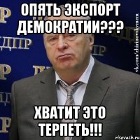 Опять экспорт демократии??? Хватит это терпеть!!!