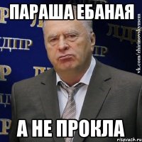 параша ебаная а не прокла