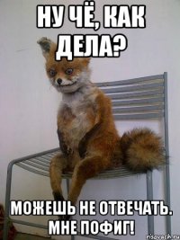 Ну чё, как дела? Можешь не отвечать. Мне пофиг!