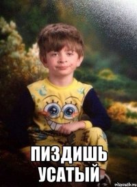  Пиздишь усатый