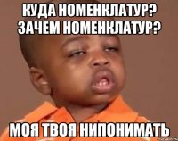 Куда номенклатур? Зачем номенклатур? Моя твоя нипонимать