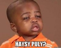  Haysy puly?