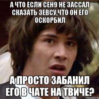 а что если ceh9 не зассал сказать Зевсу,что он его оскорбил а просто забанил его в чате на твиче?