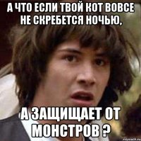 А что если твой кот вовсе не скребется ночью, А защищает от монстров ?