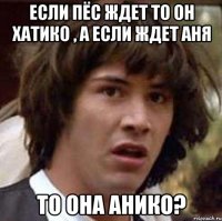 Если пёс ждет то он хатико , а если ждет Аня то она Анико?