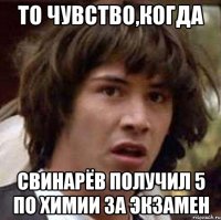 то чувство,когда свинарёв получил 5 по химии за экзамен