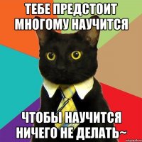 Тебе предстоит многому научится Чтобы научится ничего не делать~