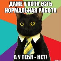 даже у кота есть нормальная работа а у тебя - нет!