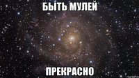 Быть Мулей Прекрасно