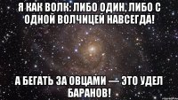 Я как волк: либо один, либо с одной волчицей навсегда! А бегать за овцами — это удел баранов!