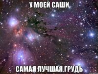 у моей саши самая лучшая грудь