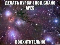делать курсач под Guano Apes восхитительно
