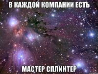 в каждой компании есть мастер сплинтер