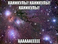 Каникулы! Каникулы! Каникулы! Ааааааеееее