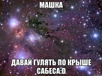 машка давай гулять по крыше сабеса:D