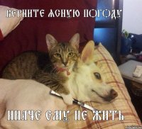 Верните ясную погоду Иначе ему не жить