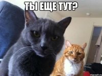 ты еще тут? 