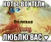 Коты-Воители... Люблю вас ♥