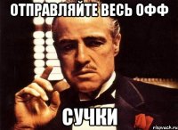 Отправляйте весь офф сучки