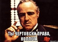  ты чертовски права, коллега
