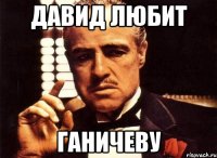 Давид любит Ганичеву
