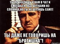Ты приходишь к нам в чат и смеёшься над шутками из слоника,но ты не шутишь сам!!! Ты даже не говоришь на "братишка"!