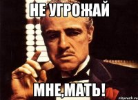 не угрожай мне,мать!