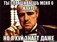 Ты спрашиваешь меня о жанре Но я хуй знает даже