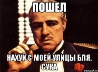 Пошел НАХУЙ С МОЕЙ УЛИЦЫ БЛЯ, СУКА