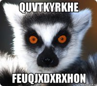 qUVTkyrKhe FeUQjXDxRxhON