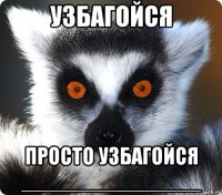 узбагойся просто узбагойся _______________