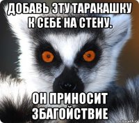 Добавь эту таракашку к себе на стену. Он приносит збагойствие