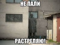 Не пали растреляю!