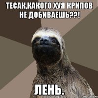 ТЕСАК,КАКОГО ХУЯ КРИПОВ НЕ ДОБИВАЕШЬ??! лень.