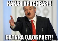 Какая Красивая!! Батька одобряет!!