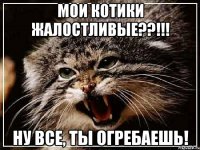 Мои котики жалостливые??!!! Ну все, ты огребаешь!