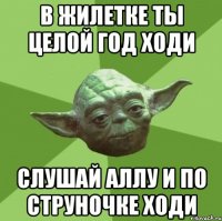В ЖИЛЕТКЕ ТЫ ЦЕЛОЙ ГОД ХОДИ СЛУШАЙ АЛЛУ И ПО СТРУНОЧКЕ ХОДИ