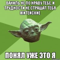 Ваниль не по нраву тебе, и трудности не страшат тебя житейские Понял уже это я