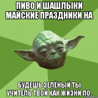 Пиво и шашлыки майские праздники на Будешь зелёный ты учитель твой как жизни по.
