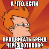 А что, если продвигать бренд через котиков?