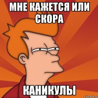 МНЕ КАЖЕТСЯ ИЛИ СКОРА КАНИКУЛЫ