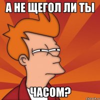 А не щегол ли ты часом?