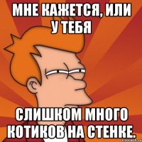 Мне кажется, или у тебя слишком много котиков на стенке.
