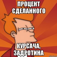 ПРОЦЕНТ СДЕЛАННОГО КУРСАЧА, ЗАДРОТИНА