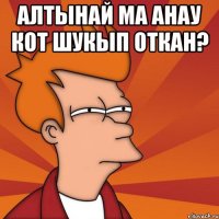 Алтынай ма анау кот шукып откан? 