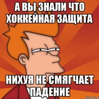 а вы знали что хоккейная защита нихуя не смягчает падение
