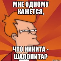 Мне одному кажется, что Никита - Шалопита?