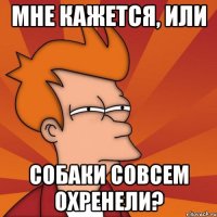 мне кажется, или собаки совсем охренели?