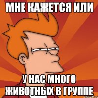 Мне кажется или у нас много животных в группе